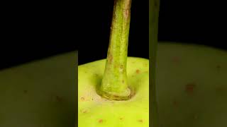 Pear ASMR satisfying macro closeup [upl. by Aremaj872]