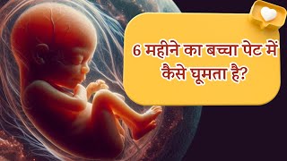 6 महीने का बच्चा पेट में कैसे घूमता है  Pregnancy 6th Month  Baby Movement [upl. by Budde530]