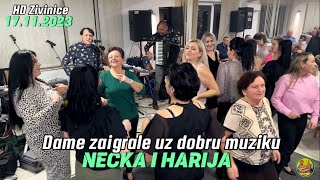 Dame zaigrale uz dobru muziku Nećka i Harija quotHD Živinicequot 17112023 [upl. by Kip]