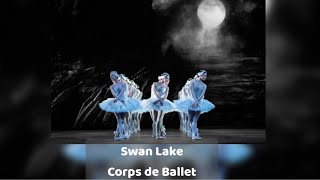 The Royal Ballet  Swan Lake Corps de Ballet [upl. by Cyprus]