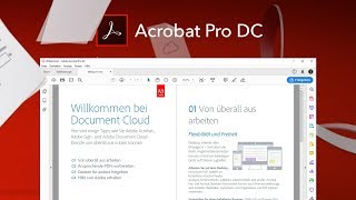 Das Große Adobe Acrobat Pro DC Tutorial Alles für deine PDFBearbeitung [upl. by Figge201]