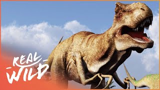 If Dinosaurs Ruled The World Dinosaur Documentary  Amazing Animals [upl. by Suzy]