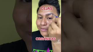 tutorial cejas orgánicas 👁️🖌️ paso X paso 🧑🏻‍🎨 [upl. by Bret]