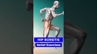 Hip Pain Relief Exercises [upl. by Fiden576]