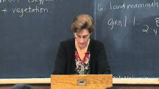 Lecture 3 The Hebrew Bible in Its Ancient Near Eastern Setting Genesis 14 in Context [upl. by Mcwilliams]