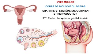 Chapitre 6  3ème Partie  Le système génital féminin  Cours de Biologie du DAEUB [upl. by Toland]