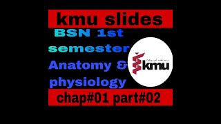 BSN 1st semester  Anatomy and physiology  chapter 1 part 1 kmu slides  with mcqs urdu hindi [upl. by Odlanyer]