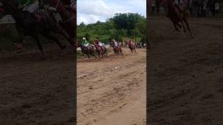 Horse Racing Bukittinggi 2024 Part 12 shorts [upl. by Zerep325]