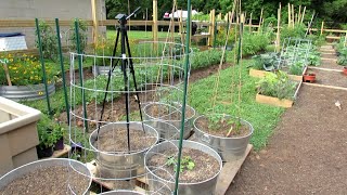 10 Trellising Options for Containers amp Earth Beds Tomatoes Cucumbers Squash Melons amp More [upl. by Jakoba]