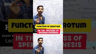 Function of Scrotum Ncert based Class 10th 🔥🔥 class10 ytshorts science reproduction ytshort [upl. by Yuzik784]