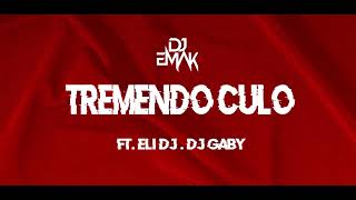 TREMENDO CULO ALETEO ✘ DJ EMAK Ft ELI DJ DJ GABY [upl. by Kcirrad240]