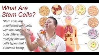 The purpose of FULGENT STEM CELL PLACENTA into our body 8mns video onlyJUN QUEZONfulgent [upl. by Etnoek66]