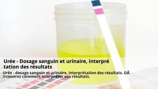 Microalbuminurie – Analyse urinaire – Interprétation des résultats [upl. by Hctub]