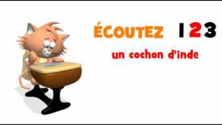 LUTTER CONTRE LILLETTRISME  un cochon dinde [upl. by Llerred388]