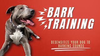 Dog Bark Training  Bark Reactivity  Bark Desensitization Sounds [upl. by Aria169]