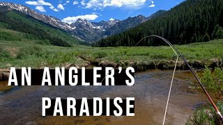 UNBELIEVABLE Setting  Trout Fishing Colorados Piney River [upl. by Iila]