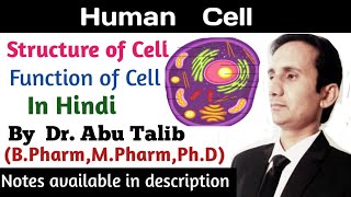 Human Cell Anatomy and Physiology In Hindi  Structure of Cell  Function of Cell [upl. by Oinafipe]