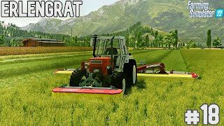 Cut grass with Pottinger Novacat A10  SURVIVAL CHALLENGE  Farming Simulator 22 ERLENGRAT  EP 18 [upl. by Gipson715]