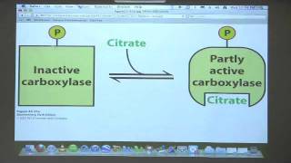 Kevin Aherns BiteSized Biochemistry 38  Fatty Acid Metabolism III [upl. by Delly]