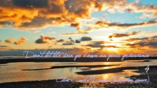 Dont let the sun go down on your grievience  Clem Snide Daniel Johnston cover [upl. by Annahahs]