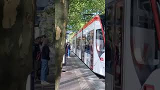 Hague tram approaching City Korte Voorhout Holland 🇳🇱 223pm 7 Sep 2024 [upl. by Osmo886]