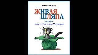 слушать смешные рассказы аудио книга николай носов живая шляпа ч1 [upl. by Dnumde]