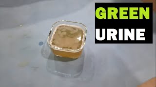 GREEN URINE  ALL CAUSES [upl. by Raffaello]