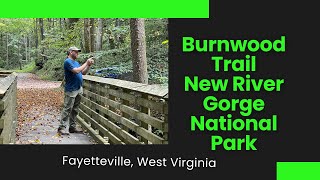 Burnwood Trail  New River Gorge National Park [upl. by Lairret]