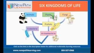 Six Kingdoms of Life  Classification [upl. by Arrakat]