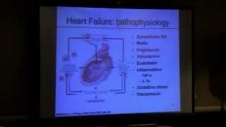 Managing Systolic vs Diastolic Heart Failure in Stages AD  Daniel Cruz MD PhD [upl. by Incrocci]