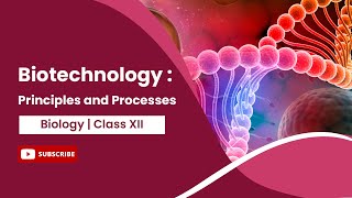 Principles and Processes  Biotechnology and its Principles  Biology  Class 12 [upl. by Ellainad]