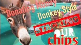 DONKEY BUSINESS  Resorts World Catskills Ep 19 [upl. by Chuu]