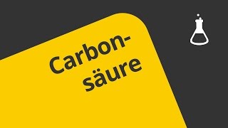 Benennung und Struktur von Carbonsäuren  Chemie  Organische Chemie [upl. by Laban]