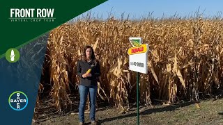 The Front Row DEKALB® Corn Hybrid DKC4099RIB [upl. by Kelila129]