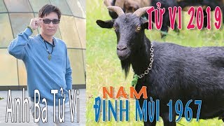 TỬ VI 2019 tuổi ĐINH MÙI 1967 Nam Mạng [upl. by Lyndel787]