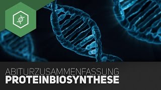 Proteinbiosynthese  Komplette Zusammenfassung fürs BioAbi [upl. by Ahsimaj]