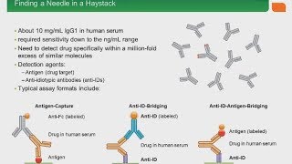 Developing Recombinant Anti Idiotypic Antibodies for PKPD and Immunogenicity Assays [upl. by Lyell]