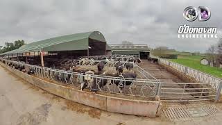 Head Locking Feed Barriers [upl. by Huxley788]