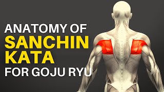 The Anatomy of Sanchin Kata for Goju Ryu [upl. by Lyssa]