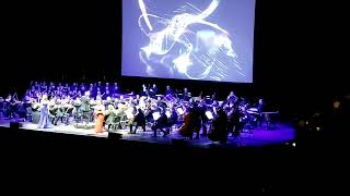 NieR Orchestra Concert  Song Of The Ancients  Live at Tempodrom Berlin  11022024 [upl. by Analla]