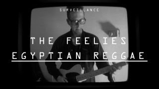 The Feelies  quotEgyptian Reggaequot  Surveillance  PitchforkTV [upl. by Mcbride]