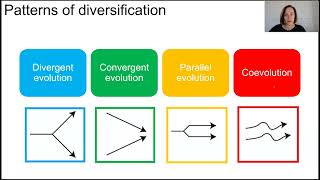 Patterns of evolution [upl. by Gatias]