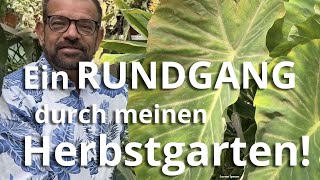 Mein grünes PARADIES  Ein Rundgang durch den HERBSTGARTEN des Biogärtners [upl. by Dnana]