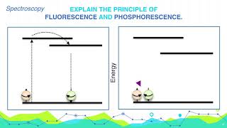 Explain the principle of Fluorescence and Phosphorescence  Analytical Chemistry [upl. by Morel786]