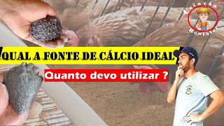 Qual fonte de cálcio utilizar para galinhas e qual a quantidade [upl. by Revert896]