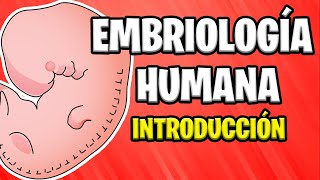 ✅ INTRODUCCIÓN A LA EMBRIOLOGÍA HUMANA  Conceptos Básicos 📚 [upl. by Ahcsap]