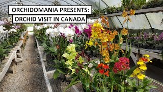 Orchidomania Presents Canadian Orchid Visit [upl. by Nytsud]