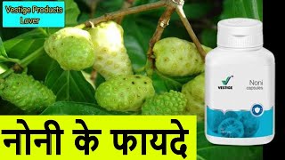 Noni Ke Fayde in hindi  Vestige Noni Capsule Benefits in hindiNoni Fruit Noni kya he Hindi [upl. by Elvin]