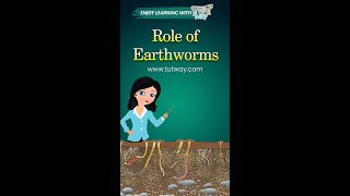 Earthworms  Role of Earthworms  Importance of Earthworms  Natural Science for Kids shorts [upl. by Coral645]