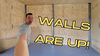 Lining a Shed with Plywood  Workshop Build Series  Part 7 [upl. by Emoryt854]